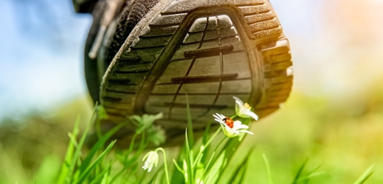Stepping on grass