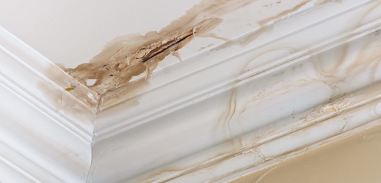 5 Signs You Need a Roof Inspection