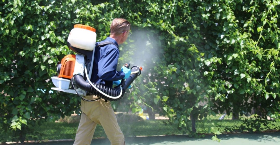 man mosquito misting bushes