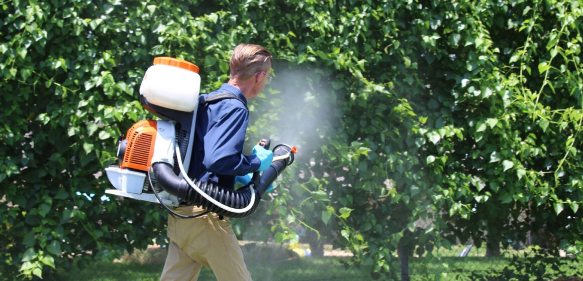 a man mosquito misting the bushes