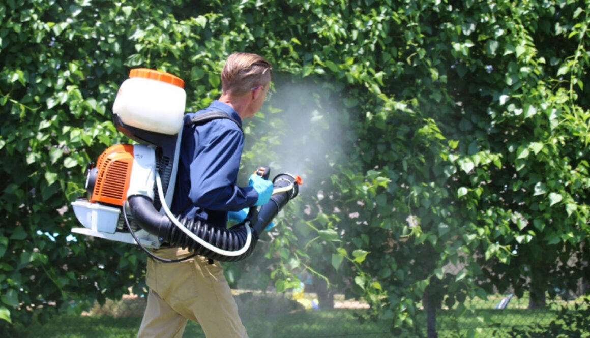 a man mosquito misting the bushes