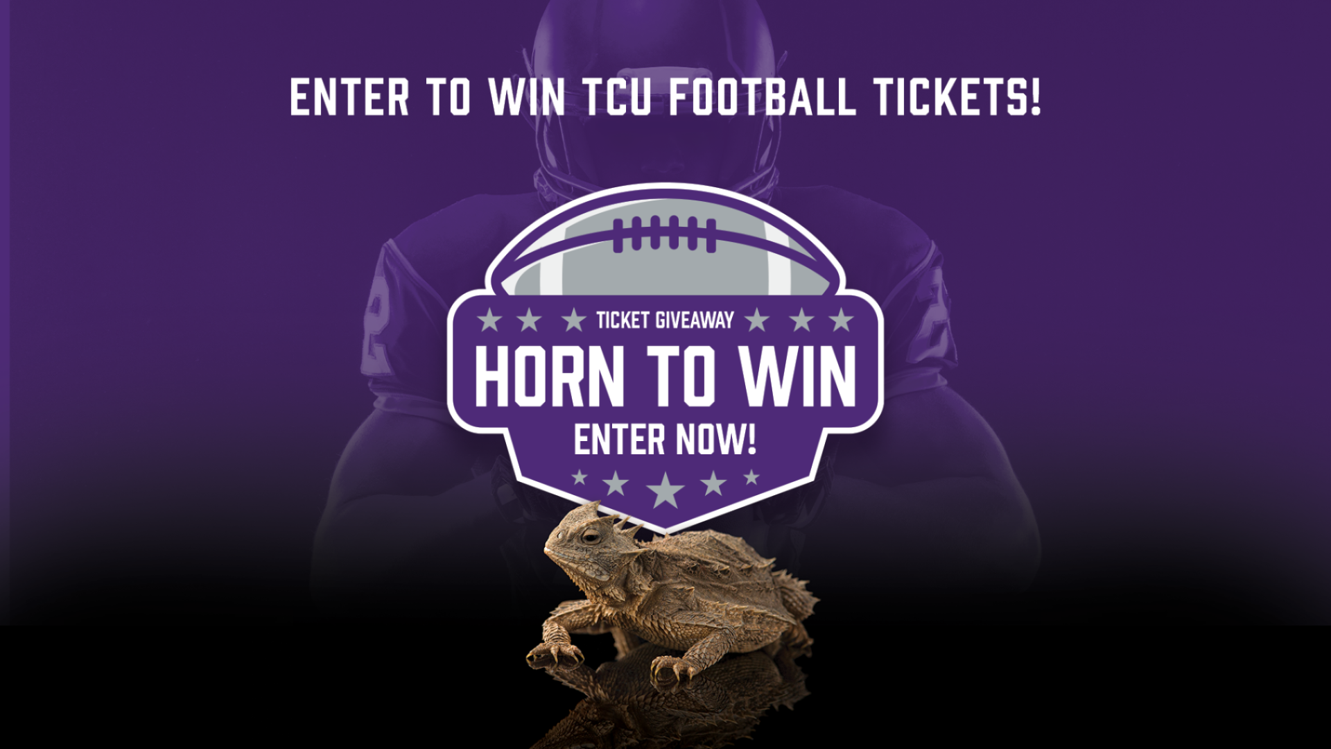 Ideal Partners | Horn to Win Giveaway